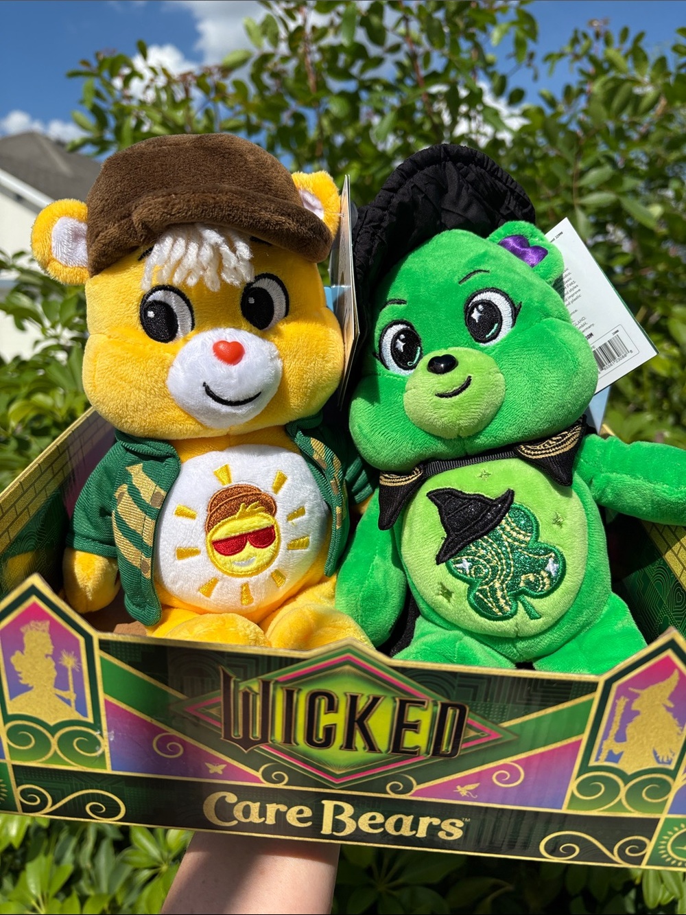 Care Bears Wicked Collection Fierro and Elphaba